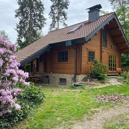 Waldhaus Eichhörnchen Bad Schmiedeberg Exterior foto