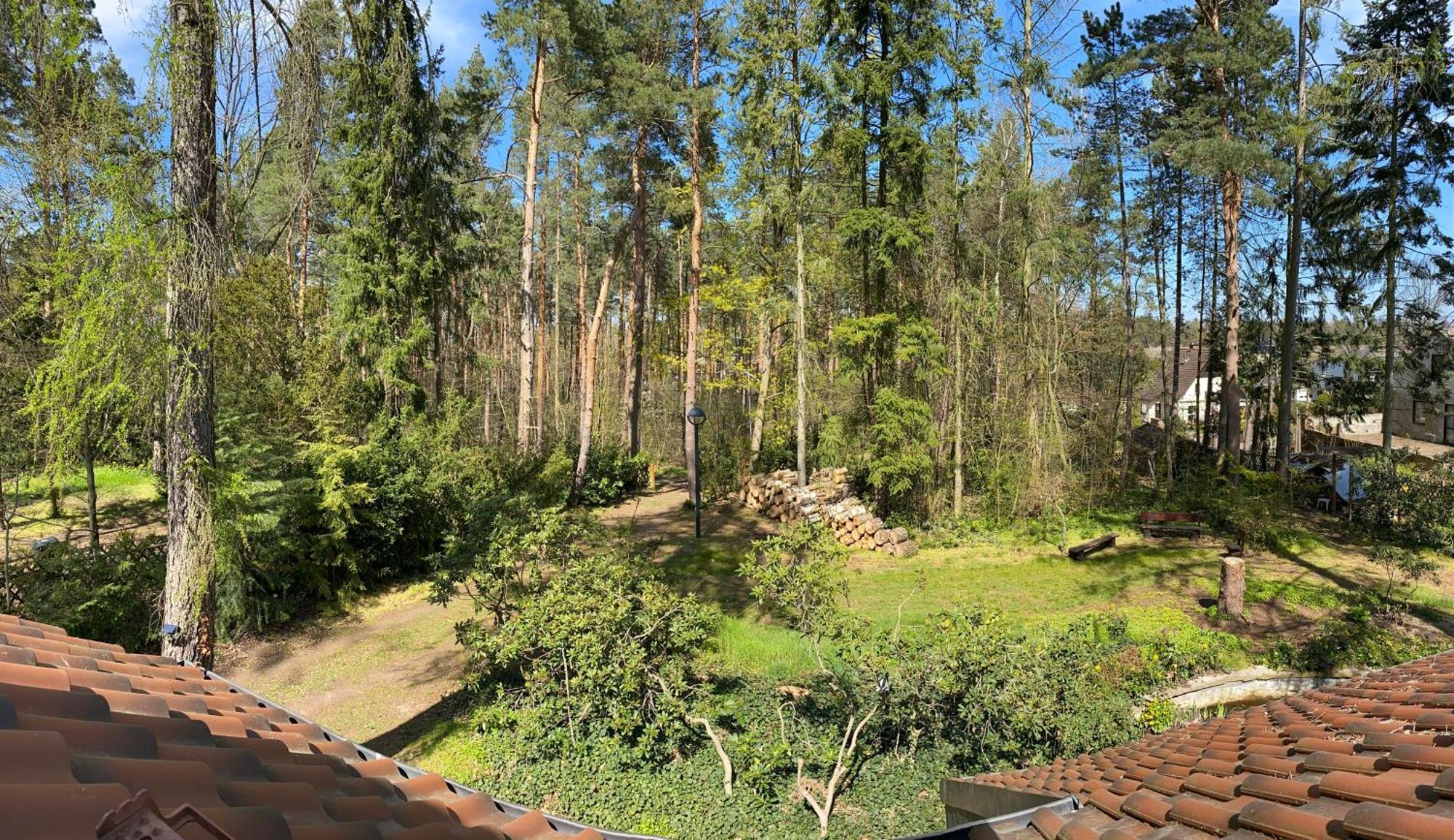 Waldhaus Eichhörnchen Bad Schmiedeberg Exterior foto