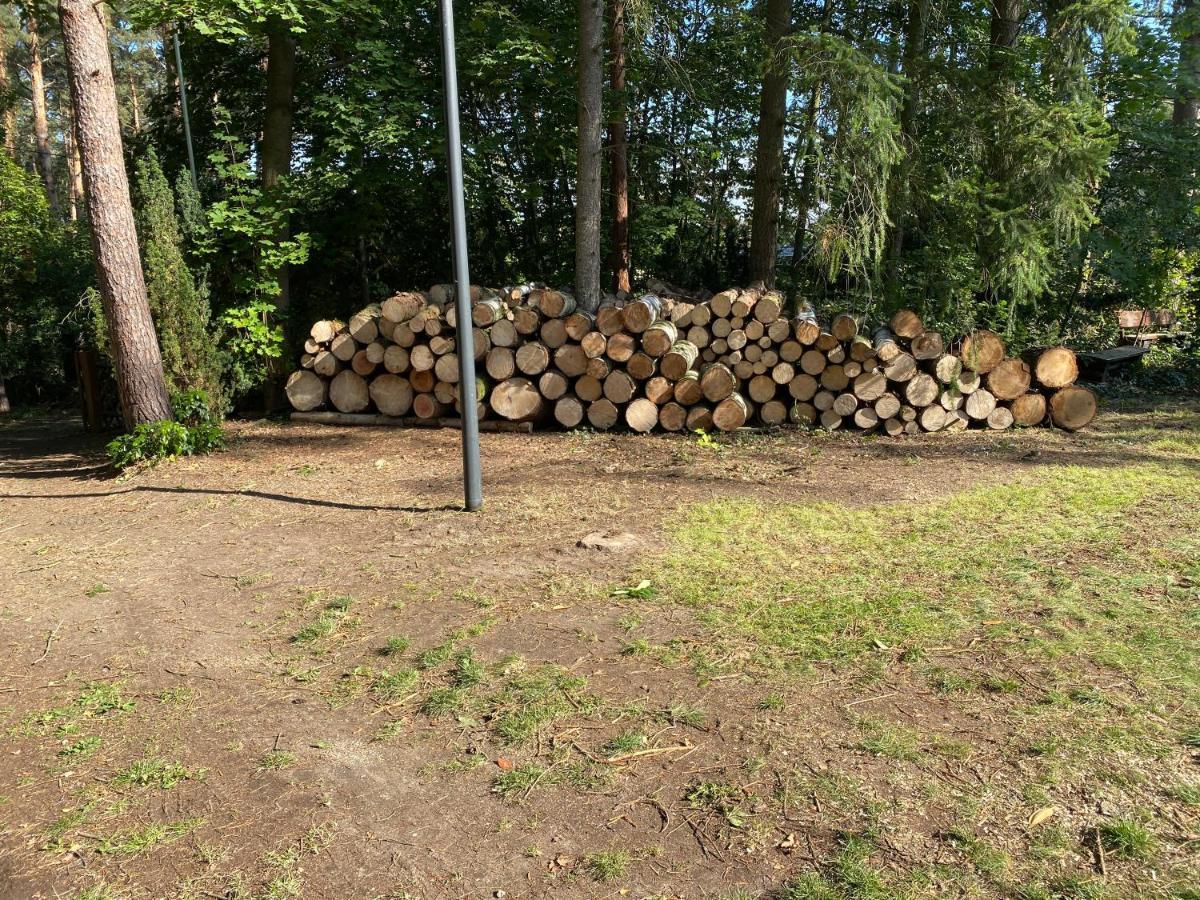 Waldhaus Eichhörnchen Bad Schmiedeberg Exterior foto