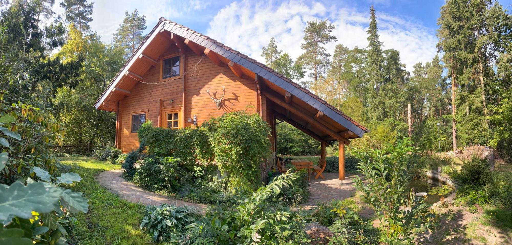 Waldhaus Eichhörnchen Bad Schmiedeberg Exterior foto
