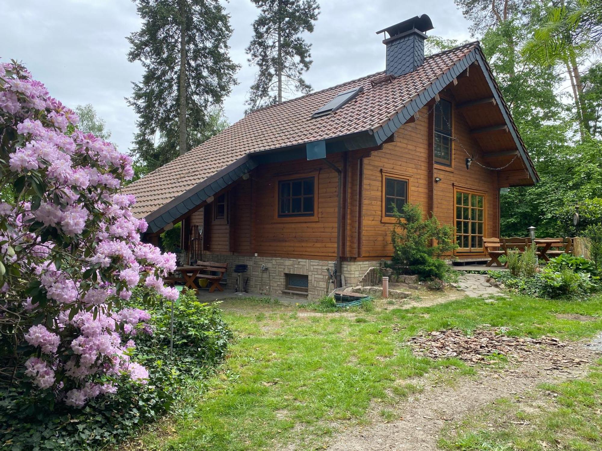 Waldhaus Eichhörnchen Bad Schmiedeberg Exterior foto